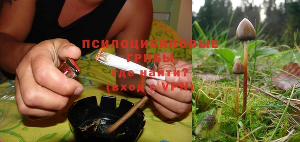 первитин Богородск