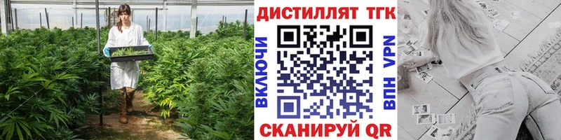 Купить где  Надым  ТГК Wax 