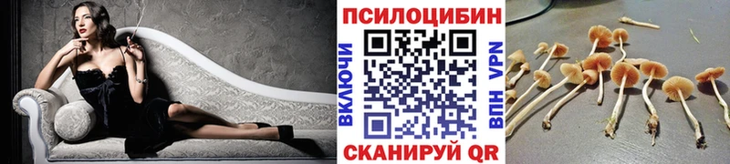 Галлюциногенные грибы Psilocybe  Купить  Надым 